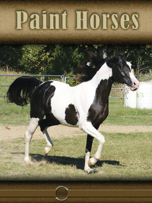 cover image of Paint Horses